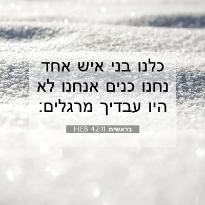 Picture 07 - בראשית 42:11 HEB - כלנו בני איש אחד נחנו כנים - Bible Verse Picture