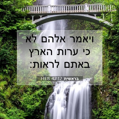 Picture 07 - בראשית 42:12 HEB - ויאמר אלהם לא כי ערות הארץ - Bible Verse Picture