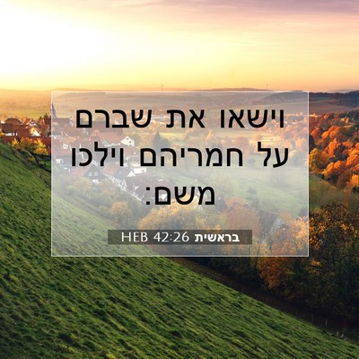 Picture 07 - בראשית 42:26 HEB - וישאו את שברם על חמריהם - Bible Verse Picture