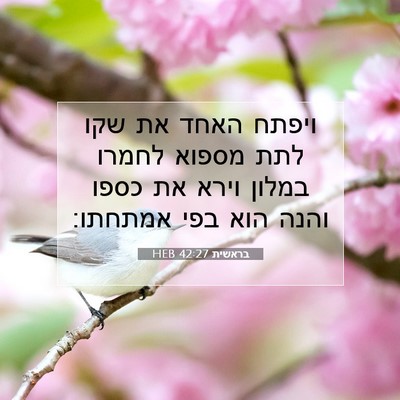 Picture 07 - בראשית 42:27 HEB - ויפתח האחד את שקו לתת מספוא - Bible Verse Picture