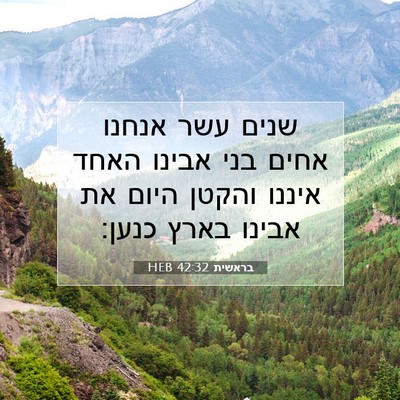 Picture 07 - בראשית 42:32 HEB - שנים עשר אנחנו אחים בני - Bible Verse Picture