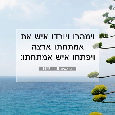 Picture 07 - בראשית 44:11 HEB - וימהרו ויורדו איש את - Bible Verse Picture