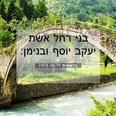 Picture 07 - בראשית 46:19 HEB - בני רחל אשת יעקב יוסף - Bible Verse Picture
