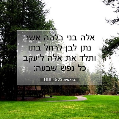 Picture 07 - בראשית 46:25 HEB - אלה בני בלהה אשר נתן לבן - Bible Verse Picture