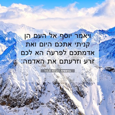 Picture 07 - בראשית 47:23 HEB - ויאמר יוסף אל העם הן קניתי - Bible Verse Picture