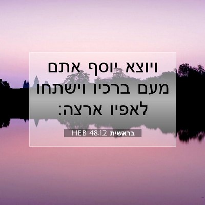 Picture 07 - בראשית 48:12 HEB - ויוצא יוסף אתם מעם ברכיו - Bible Verse Picture