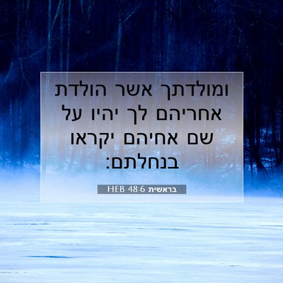 Picture 07 - בראשית 48:6 HEB - ומולדתך אשר הולדת אחריהם - Bible Verse Picture