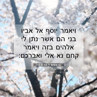 Picture 07 - בראשית 48:9 HEB - ויאמר יוסף אל אביו בני הם - Bible Verse Picture
