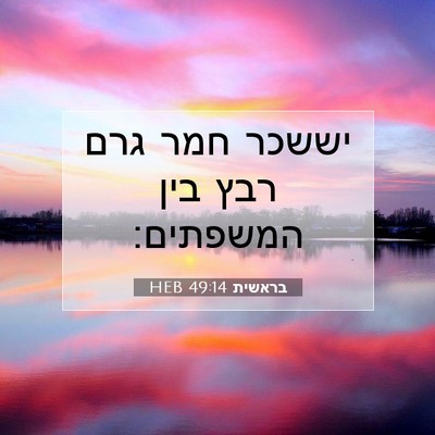 Picture 07 - בראשית 49:14 HEB - יששכר חמר גרם רבץ בין - Bible Verse Picture