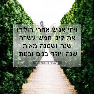 Picture 07 - בראשית 5:10 HEB - ויחי אנוש אחרי הולידו את - Bible Verse Picture