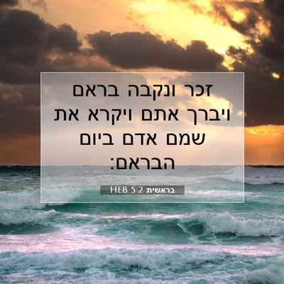 Picture 07 - בראשית 5:2 HEB - זכר ונקבה בראם ויברך אתם - Bible Verse Picture