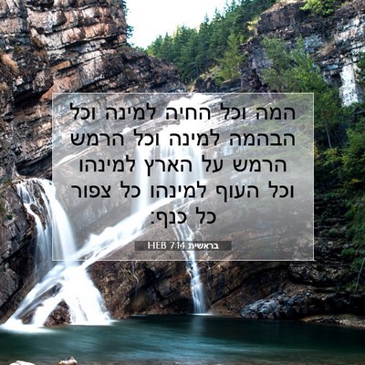 Picture 07 - בראשית 7:14 HEB - המה וכל החיה למינה וכל - Bible Verse Picture