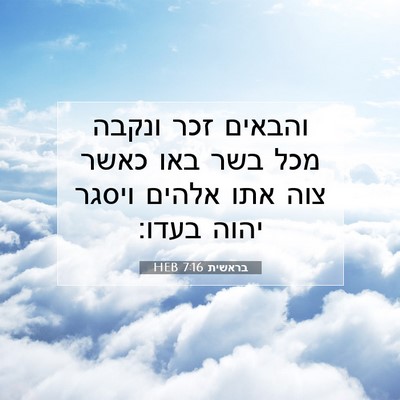 Picture 07 - בראשית 7:16 HEB - והבאים זכר ונקבה מכל בשר - Bible Verse Picture