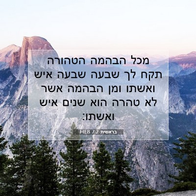 Picture 07 - בראשית 7:2 HEB - מכל הבהמה הטהורה תקח לך - Bible Verse Picture