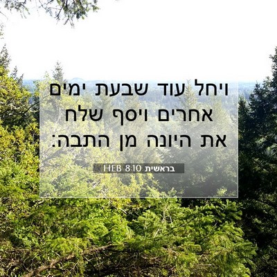 Picture 07 - בראשית 8:10 HEB - ויחל עוד שבעת ימים אחרים - Bible Verse Picture
