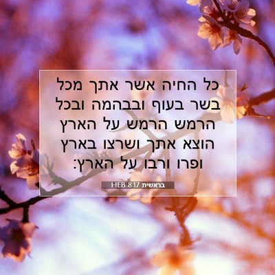 Picture 07 - בראשית 8:17 HEB - כל החיה אשר אתך מכל בשר - Bible Verse Picture