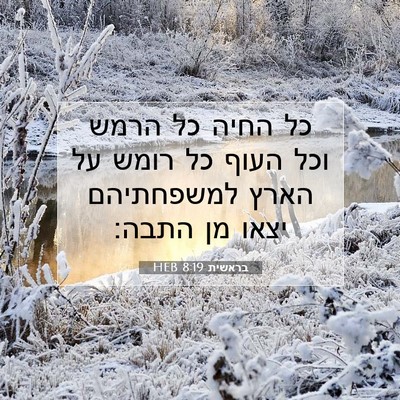 Picture 07 - בראשית 8:19 HEB - כל החיה כל הרמש וכל העוף כל - Bible Verse Picture