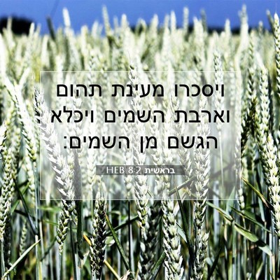 Picture 07 - בראשית 8:2 HEB - ויסכרו מעינת תהום וארבת - Bible Verse Picture