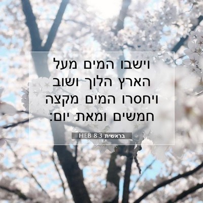 Picture 07 - בראשית 8:3 HEB - וישבו המים מעל הארץ הלוך - Bible Verse Picture