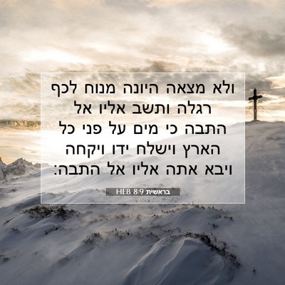 Picture 07 - בראשית 8:9 HEB - ולא מצאה היונה מנוח לכף - Bible Verse Picture