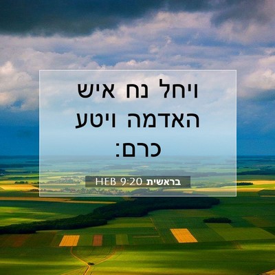 Picture 07 - בראשית 9:20 HEB - ויחל נח איש האדמה ויטע - Bible Verse Picture