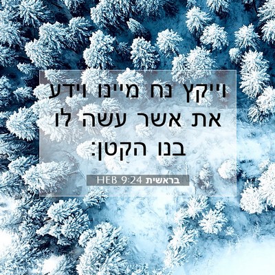 Picture 07 - בראשית 9:24 HEB - וייקץ נח מיינו וידע את אשר - Bible Verse Picture