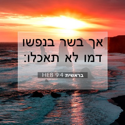 Picture 07 - בראשית 9:4 HEB - אך בשר בנפשו דמו לא - Bible Verse Picture