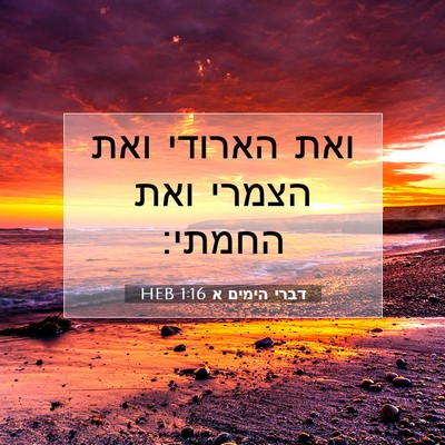 Picture 07 - דברי הימים א 1:16 HEB - ואת הארודי ואת הצמרי ואת - Bible Verse Picture