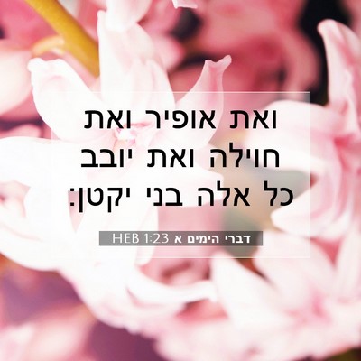 Picture 07 - דברי הימים א 1:23 HEB - ואת אופיר ואת חוילה ואת - Bible Verse Picture