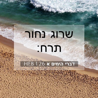 Picture 07 - דברי הימים א 1:26 HEB - שרוג נחור - Bible Verse Picture