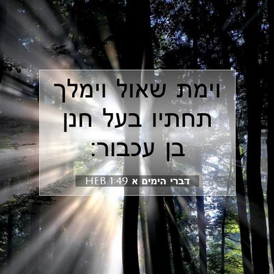 Picture 07 - דברי הימים א 1:49 HEB - וימת שאול וימלך תחתיו בעל - Bible Verse Picture