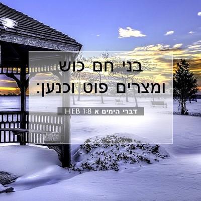 Picture 07 - דברי הימים א 1:8 HEB - בני חם כוש ומצרים פוט - Bible Verse Picture