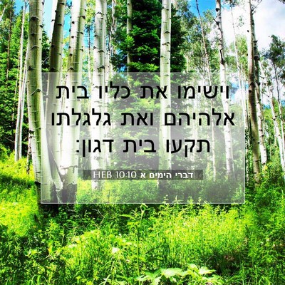Picture 07 - דברי הימים א 10:10 HEB - וישימו את כליו בית אלהיהם - Bible Verse Picture