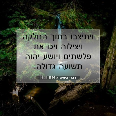 Picture 07 - דברי הימים א 11:14 HEB - ויתיצבו בתוך החלקה ויצילוה - Bible Verse Picture