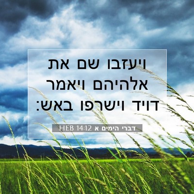 Picture 07 - דברי הימים א 14:12 HEB - ויעזבו שם את אלהיהם ויאמר - Bible Verse Picture