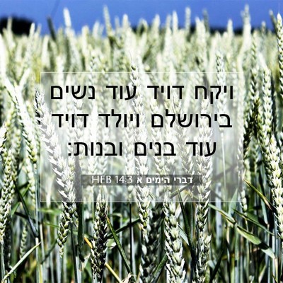 Picture 07 - דברי הימים א 14:3 HEB - ויקח דויד עוד נשים בירושלם - Bible Verse Picture