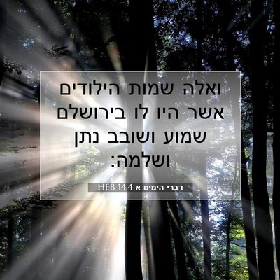 Picture 07 - דברי הימים א 14:4 HEB - ואלה שמות הילודים אשר היו - Bible Verse Picture