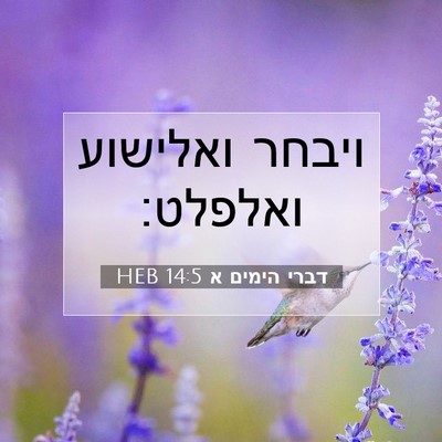 Picture 07 - דברי הימים א 14:5 HEB - ויבחר ואלישוע - Bible Verse Picture