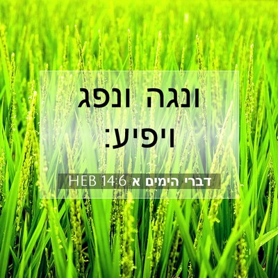 Picture 07 - דברי הימים א 14:6 HEB - ונגה ונפג - Bible Verse Picture