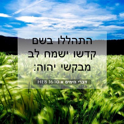 Picture 07 - דברי הימים א 16:10 HEB - התהללו בשם קדשו ישמח לב - Bible Verse Picture