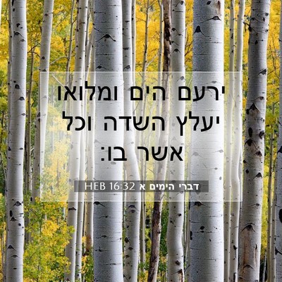 Picture 07 - דברי הימים א 16:32 HEB - ירעם הים ומלואו יעלץ השדה - Bible Verse Picture