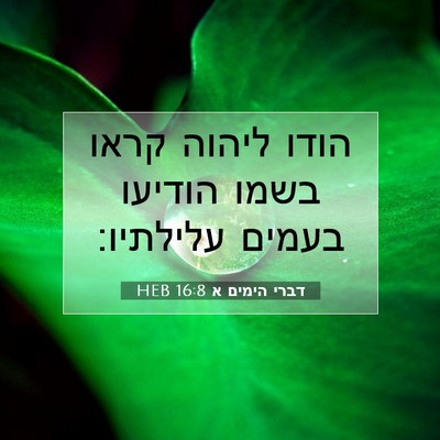 Picture 07 - דברי הימים א 16:8 HEB - הודו ליהוה קראו בשמו - Bible Verse Picture