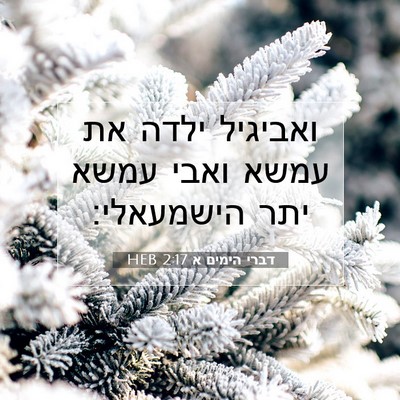 Picture 07 - דברי הימים א 2:17 HEB - ואביגיל ילדה את עמשא ואבי - Bible Verse Picture