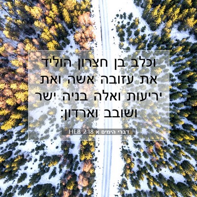 Picture 07 - דברי הימים א 2:18 HEB - וכלב בן חצרון הוליד את - Bible Verse Picture