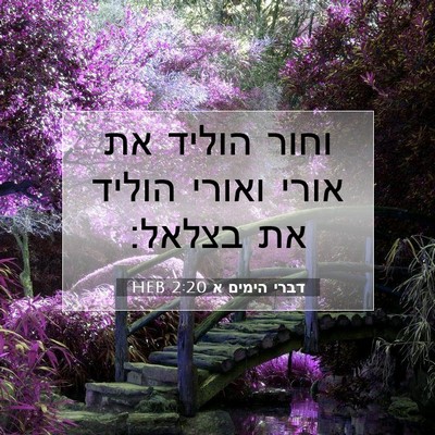 Picture 07 - דברי הימים א 2:20 HEB - וחור הוליד את אורי ואורי - Bible Verse Picture
