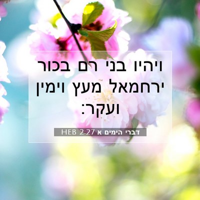 Picture 07 - דברי הימים א 2:27 HEB - ויהיו בני רם בכור ירחמאל - Bible Verse Picture