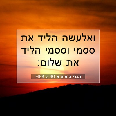 Picture 07 - דברי הימים א 2:40 HEB - ואלעשה הליד את ססמי וססמי - Bible Verse Picture