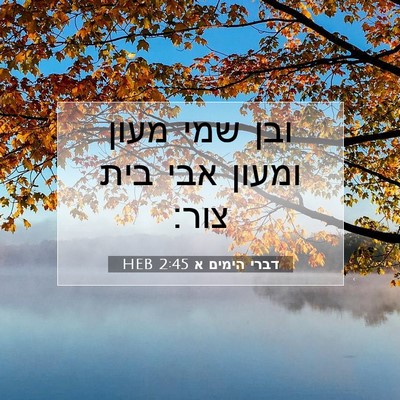 Picture 07 - דברי הימים א 2:45 HEB - ובן שמי מעון ומעון אבי בית - Bible Verse Picture