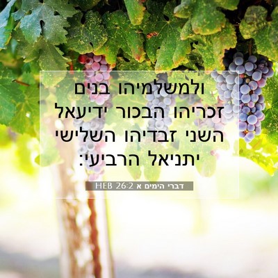 Picture 07 - דברי הימים א 26:2 HEB - ולמשלמיהו בנים זכריהו - Bible Verse Picture