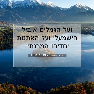 Picture 07 - דברי הימים א 27:30 HEB - ועל הגמלים אוביל הישמעלי - Bible Verse Picture
